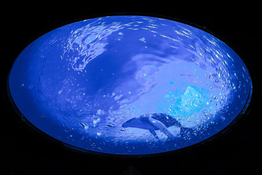 Màn hình chiếu phim dạng vòm